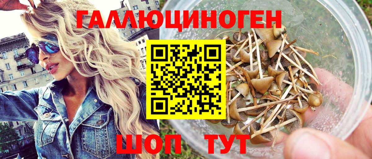 купить наркоту  Псилоцибиновые грибы Psilocybe  Галлюциногенные грибы GOLDEN TEACHER  Вход с VPN  Саяногорск 