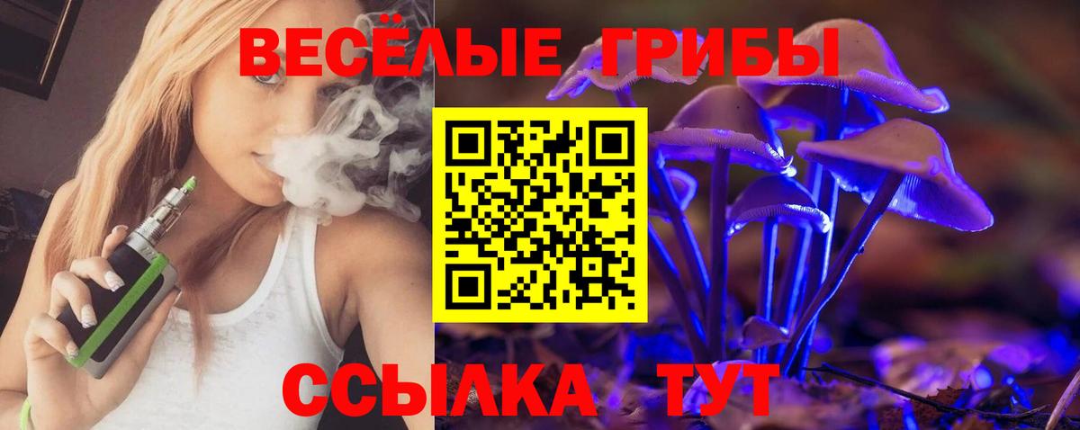 Псилоцибиновые грибы GOLDEN TEACHER Саяногорск